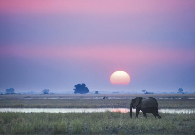 Zimbabue