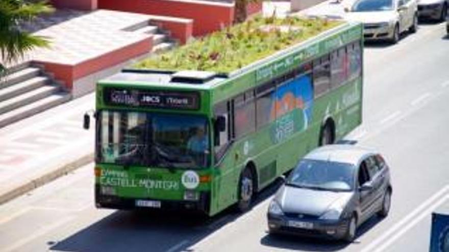 Gewöhnungsbedürftiger Anblick, aber ökologisch sinnvoll: Stadtbus mit eigenem Garten.