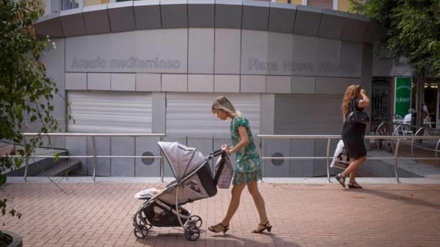 Una «ratonera» para los peces del nuevo acuario de la Plaza Nueva