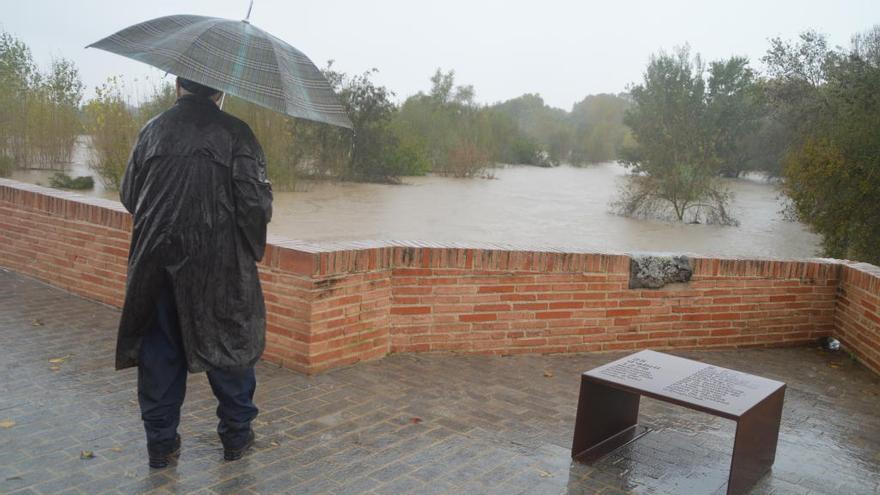 El pont vell de la Muga el passat novembre.