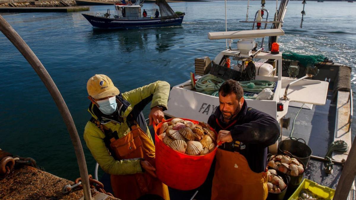 Dos pescadores llegan a puerto con sus capturas de vieira.  |  // IÑAKI ABELLA