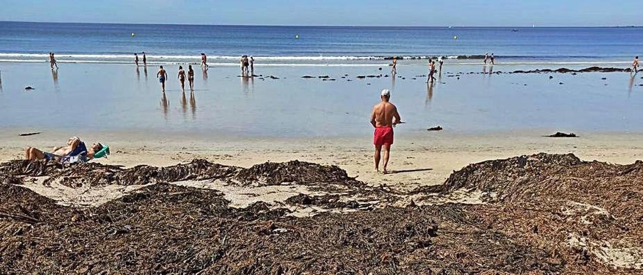 La playa de A Lanzada, repleta de algas.