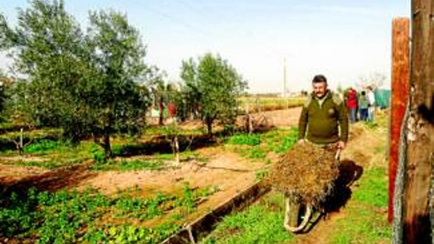 La venta de los huertos familiares se cerrará antes de final de año