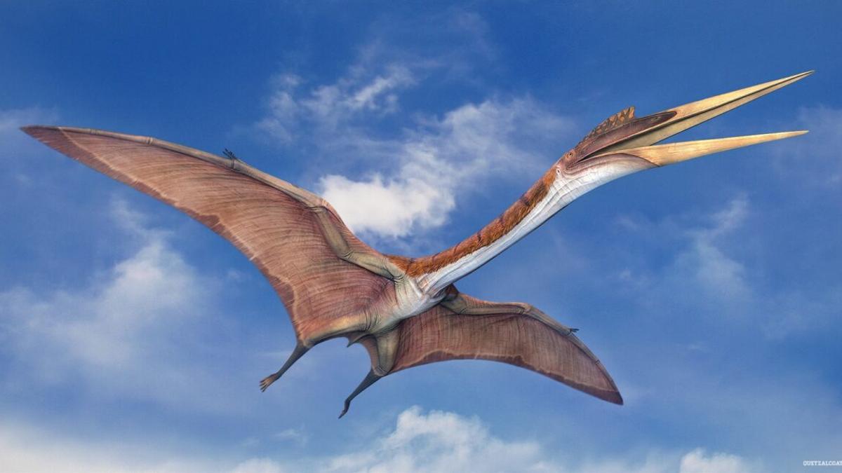 ¿Cuál es el animal volador más grande que ha existido jamás?