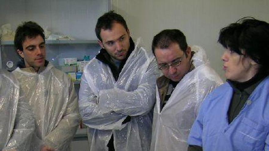 Veterinarios durante un curso celebrado en Ovigen.