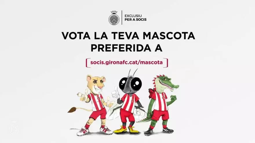 Vídeo: El Girona busca nova mascota
