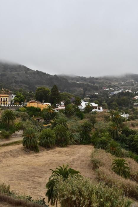 25/06/2019 SANTA BRÍGIDA. Clima en Santa Brígida.    Fotógrafa: YAIZA SOCORRO.  | 25/06/2019 | Fotógrafo: Yaiza Socorro