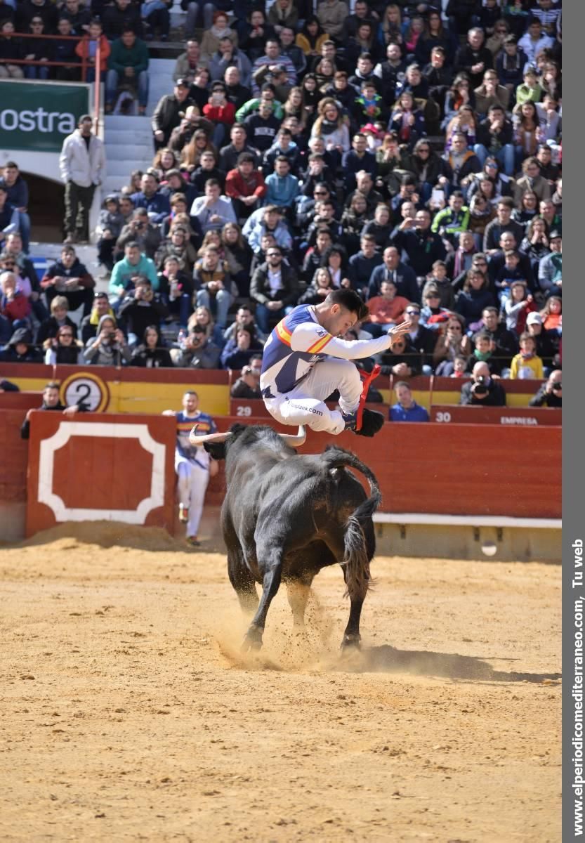 Los recortadores llenan la plaza de Castellón