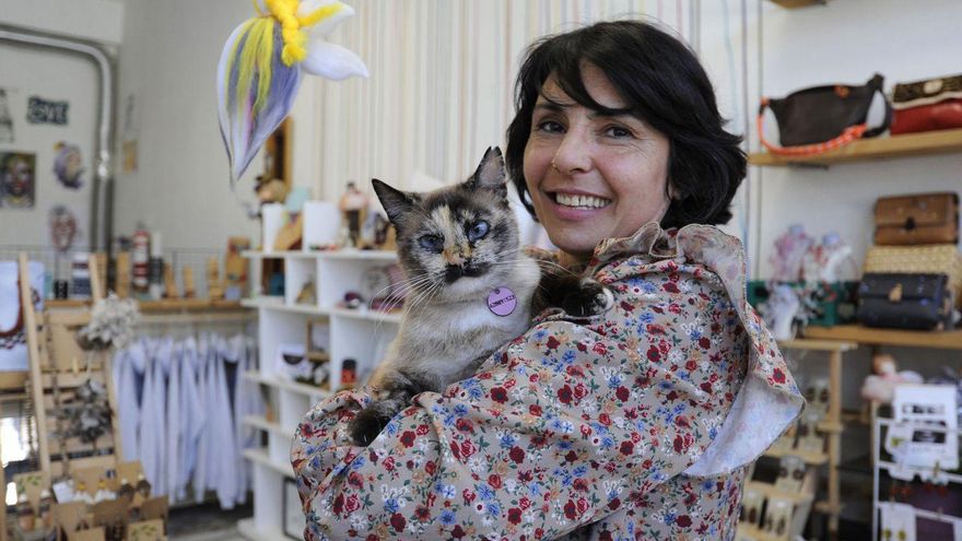 La gata Sarita, de ser arrojada a un contenedor del punto limpio a tener un club de fans