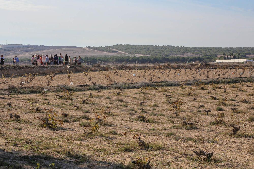 Ruta ecoturistica por el parque natural de La Mata