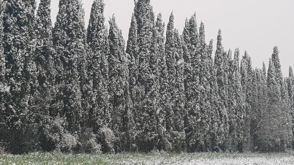 Nevades a Girona