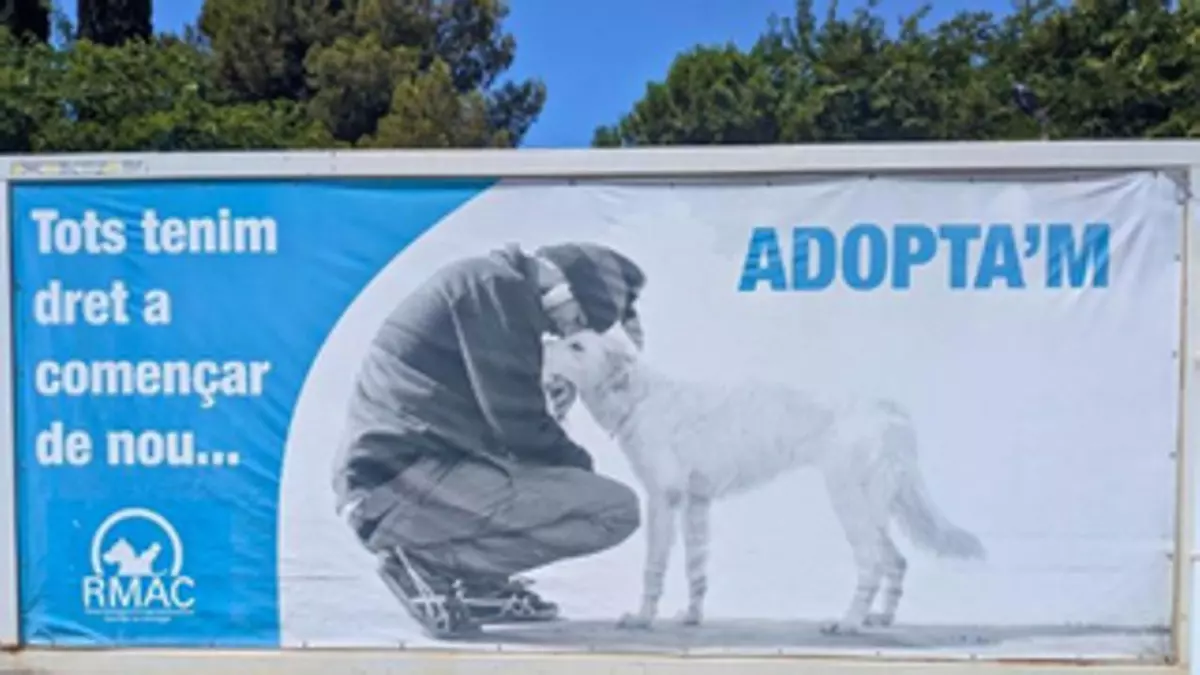 El Refugio de Animales de Compañía de Sant Boi estrena nuevo espacio web para llegar a más personas