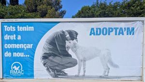 Cartel promocional del Refugio de Animales de Compañía (RMAC) de Sant Boi.