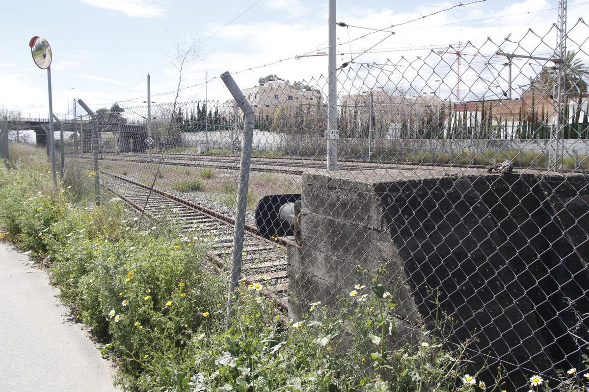 Olivos borrachos tacón de vía vías tren