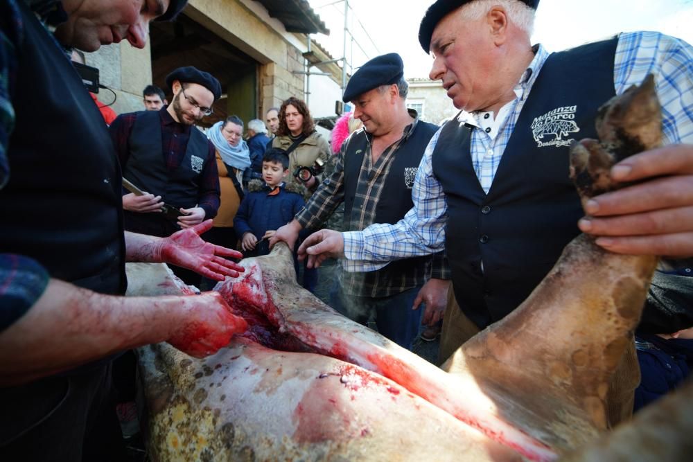 Donsión celebra por todo lo alto su Matanza Tradicional do Porco