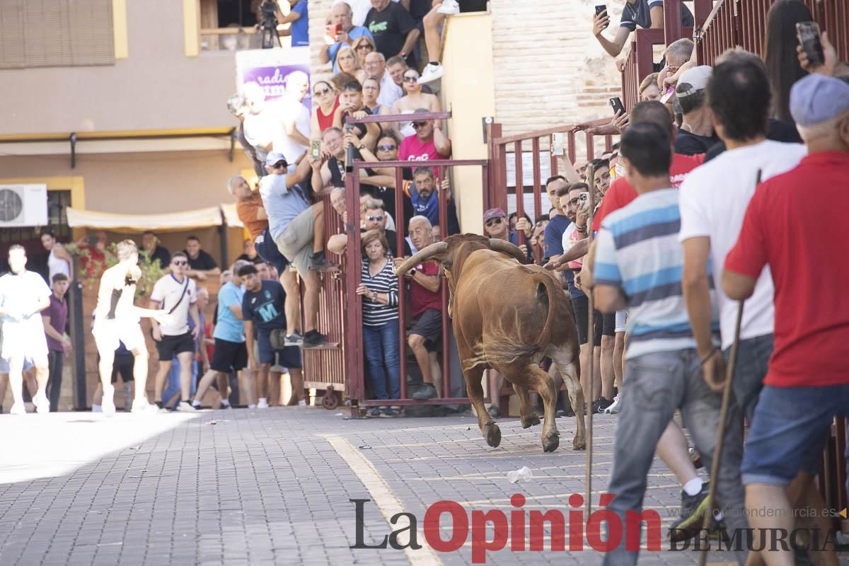 Tercer encierro de las Fiestas de Moratalla