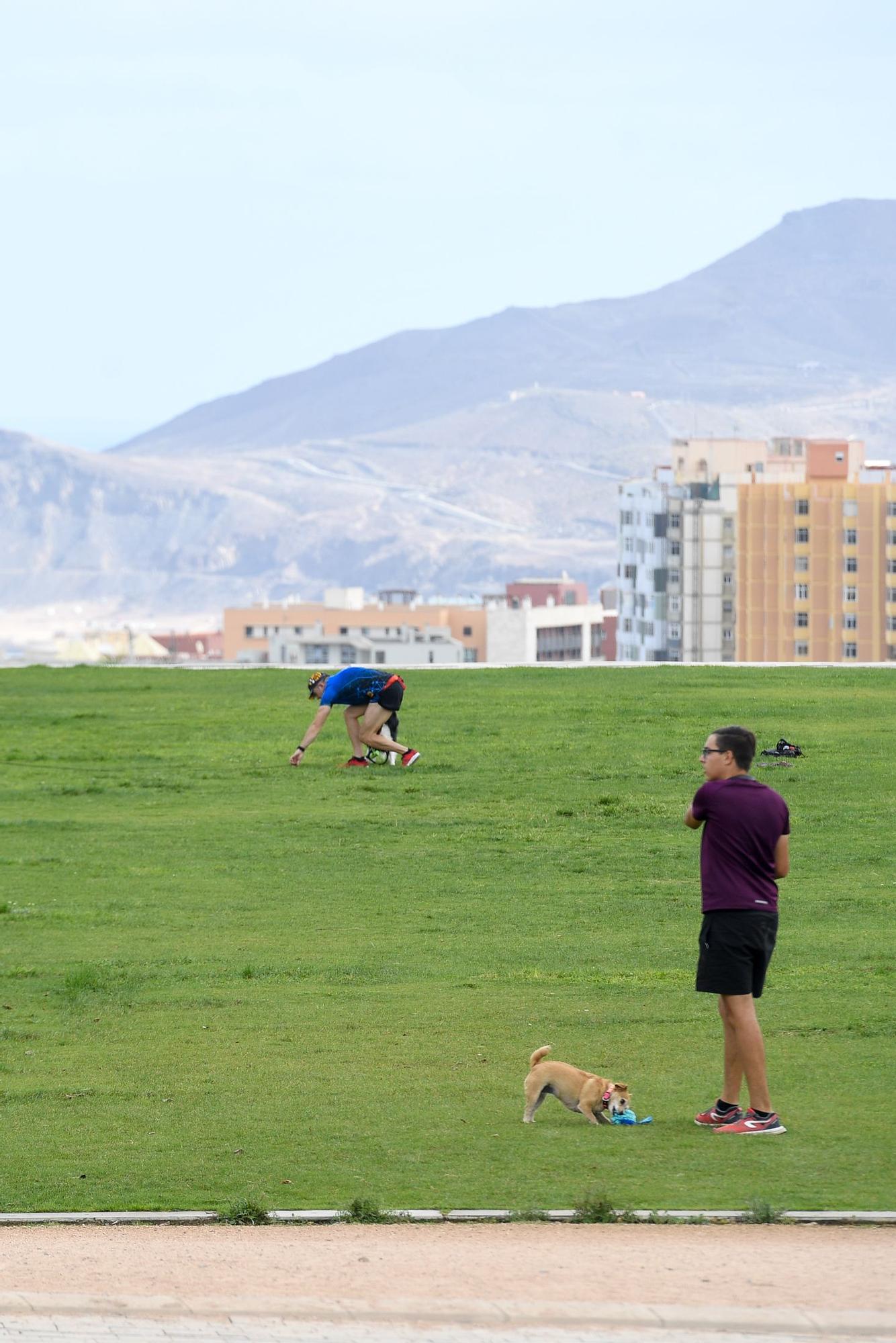 Jornada de domingo en el parque de La Ballena