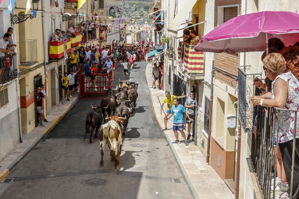 "Entrà de les Vaques" de Tibi