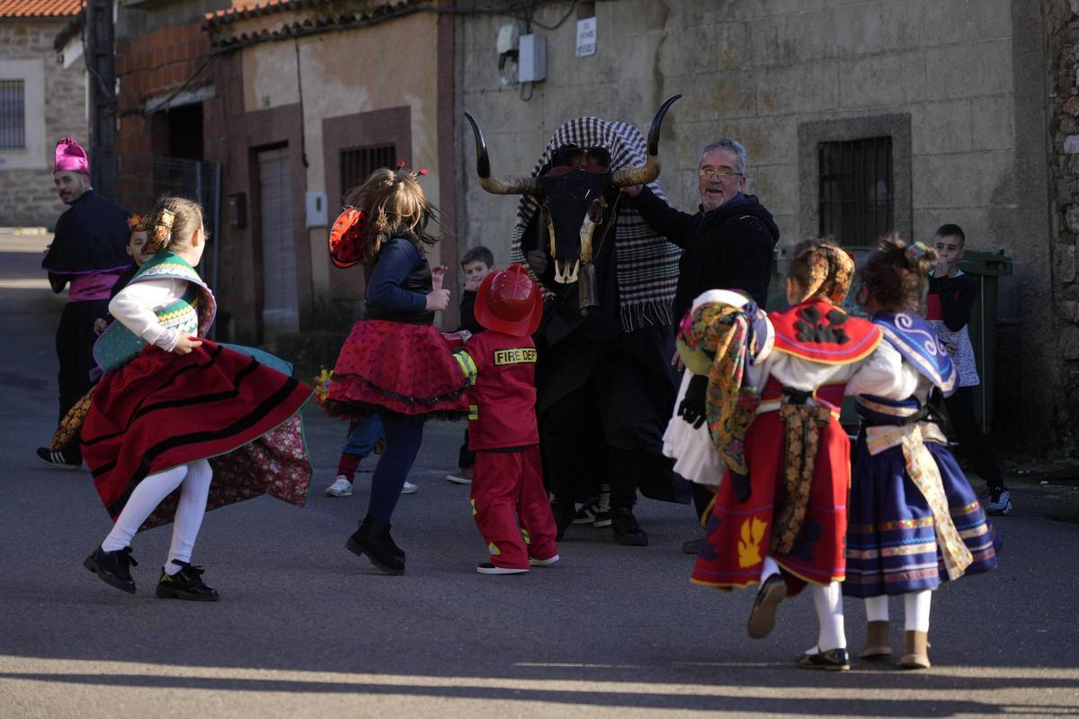 Pereruela rescata del olvido a su Vaca Antrueja por segunda vez Pereruela rescata del olvido a su Vaca Antrueja por segunda vez
