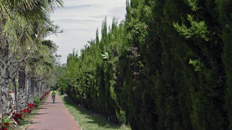 Carril bici en Alhaurín de la Torre.