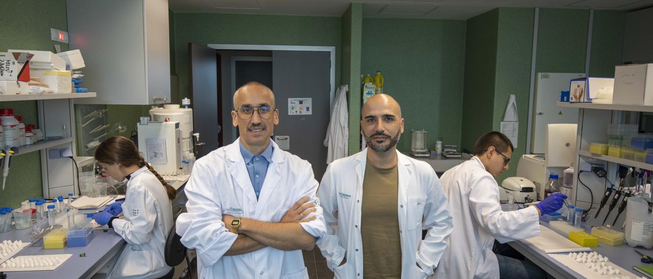 Roberto de la Rica y Antonio Clemente, en el laboratorio del grupo multidisciplinar de sepsis del IdISBa.