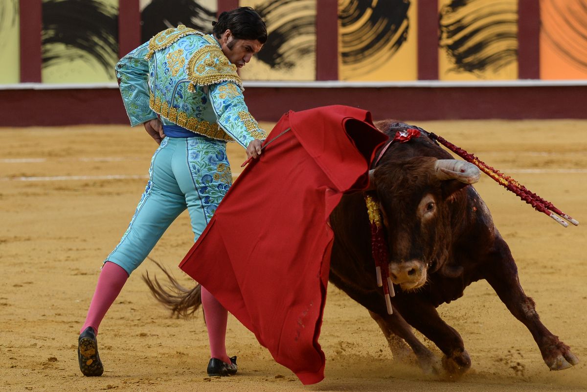 Los toros vuelven a La Malagueta