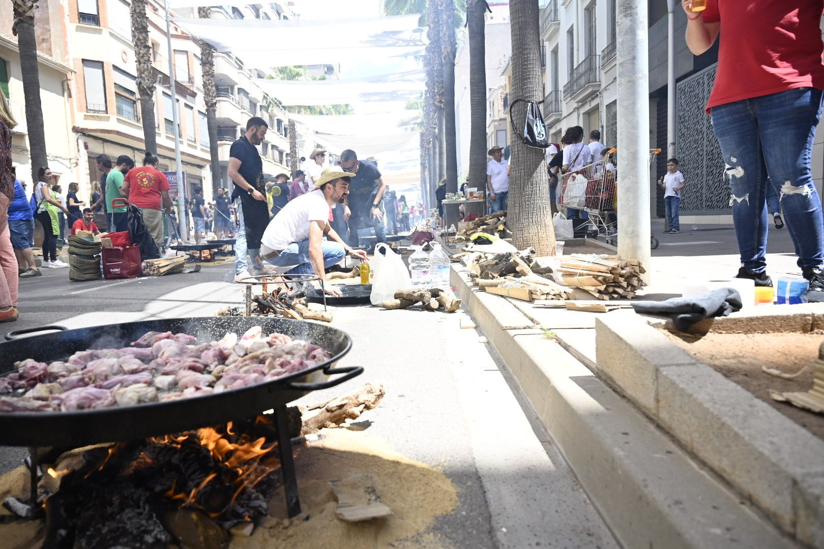 Encuéntrate en las paellas celebradas por Sant Pasqueal en Vila-real