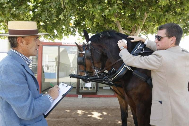 FOTOGALERÍA / MARTES DE FERIA EN EL ARENAL