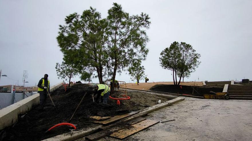 Sanxenxo pide “respeto con el nuevo jardín” del Puerto tras la primera plantación de árboles