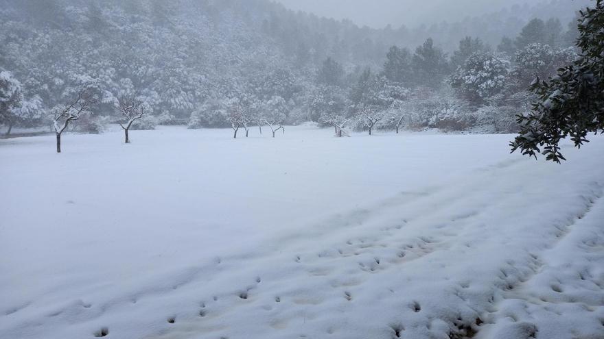 Un año de la borrasca ‘Juliette’, la mayor nevada que se recuerde en la Serra de Tramuntana en Mallorca