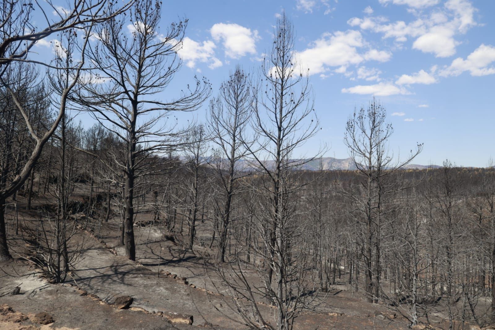 Las consecuencias del incendio de Bejís en Teresa