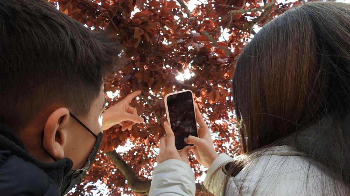 Nens participant en l’observació de la natura en el projecte Fenocentres | CREAF