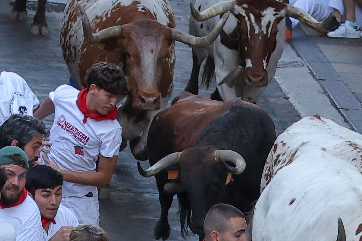 PAMPLONA, 08/07/2025.- Varios corredores son perseguidos por toros de la ganadería Cebada Gago en el tramo que va desde el final de la cuesta de Santo Domingo a la curva de Mercaderes, durante el segundo encierro de los Sanfermines este martes, en Pamplona. EFE/ J.P. Urdiroz