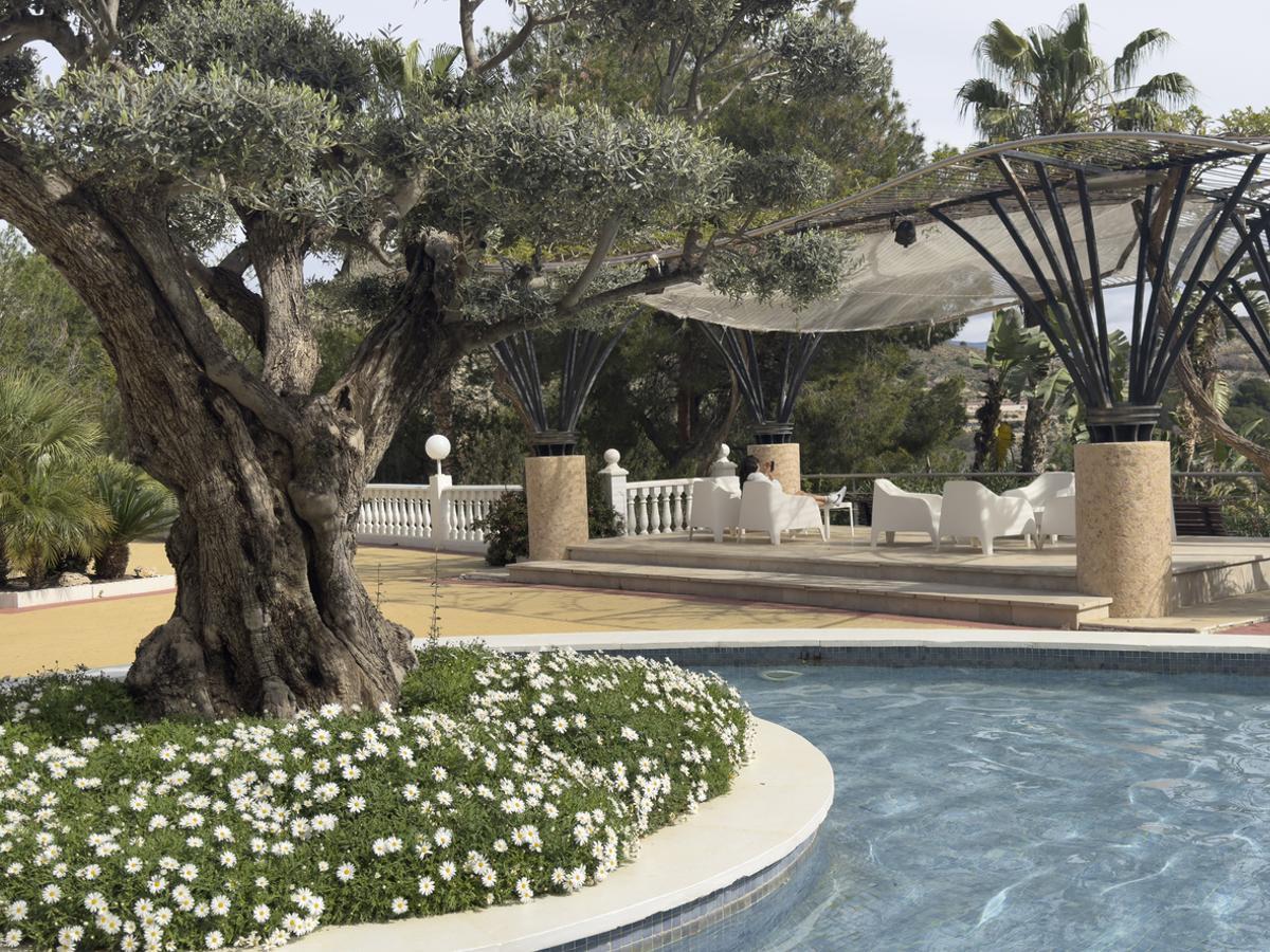 Piscina de los Olivos, Valle de Ricote