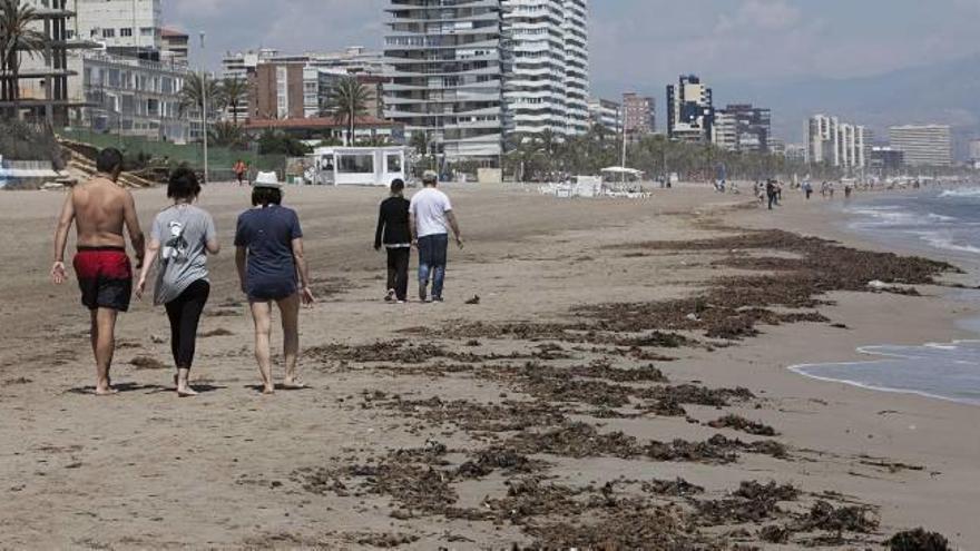 Algas en pleno puente festivo