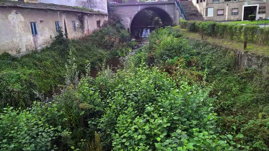 Imagen de archivo del río Naredo, ya en las inmediaciones de Pola de Lena, donde se prevé colocar la escala para el paso de peces. | LNE