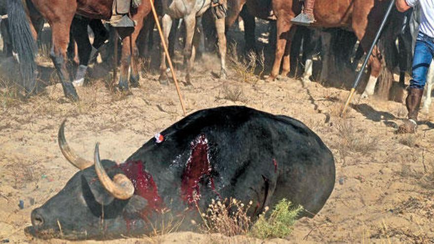 El alcalde de Tordesillas denuncia amenazas de muerte