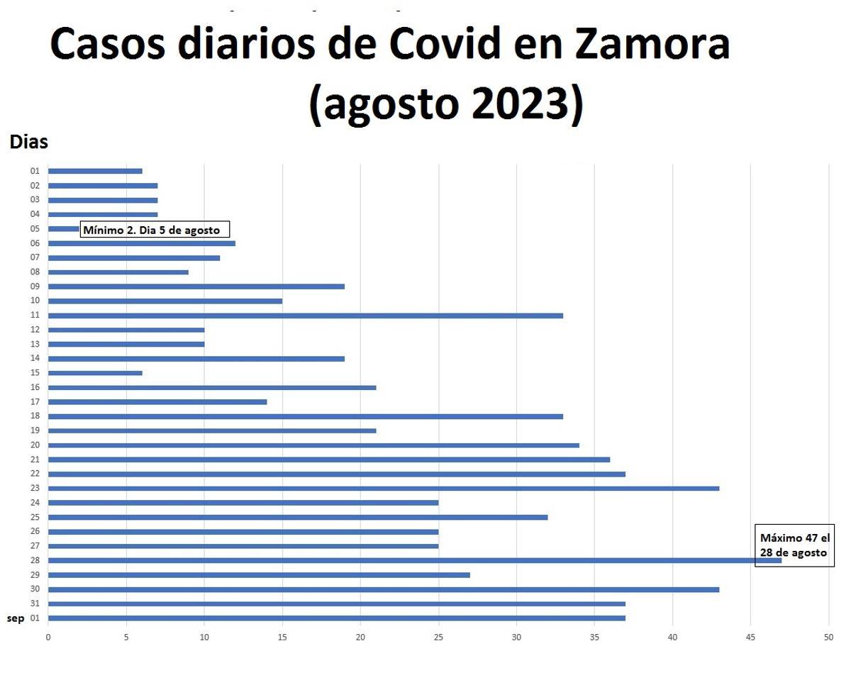 Contagios diarios de COVID en Zamora en agosto de 2023