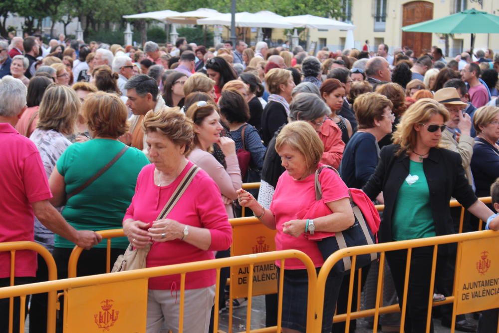 Besamanos a la Virgen de los Desamparados