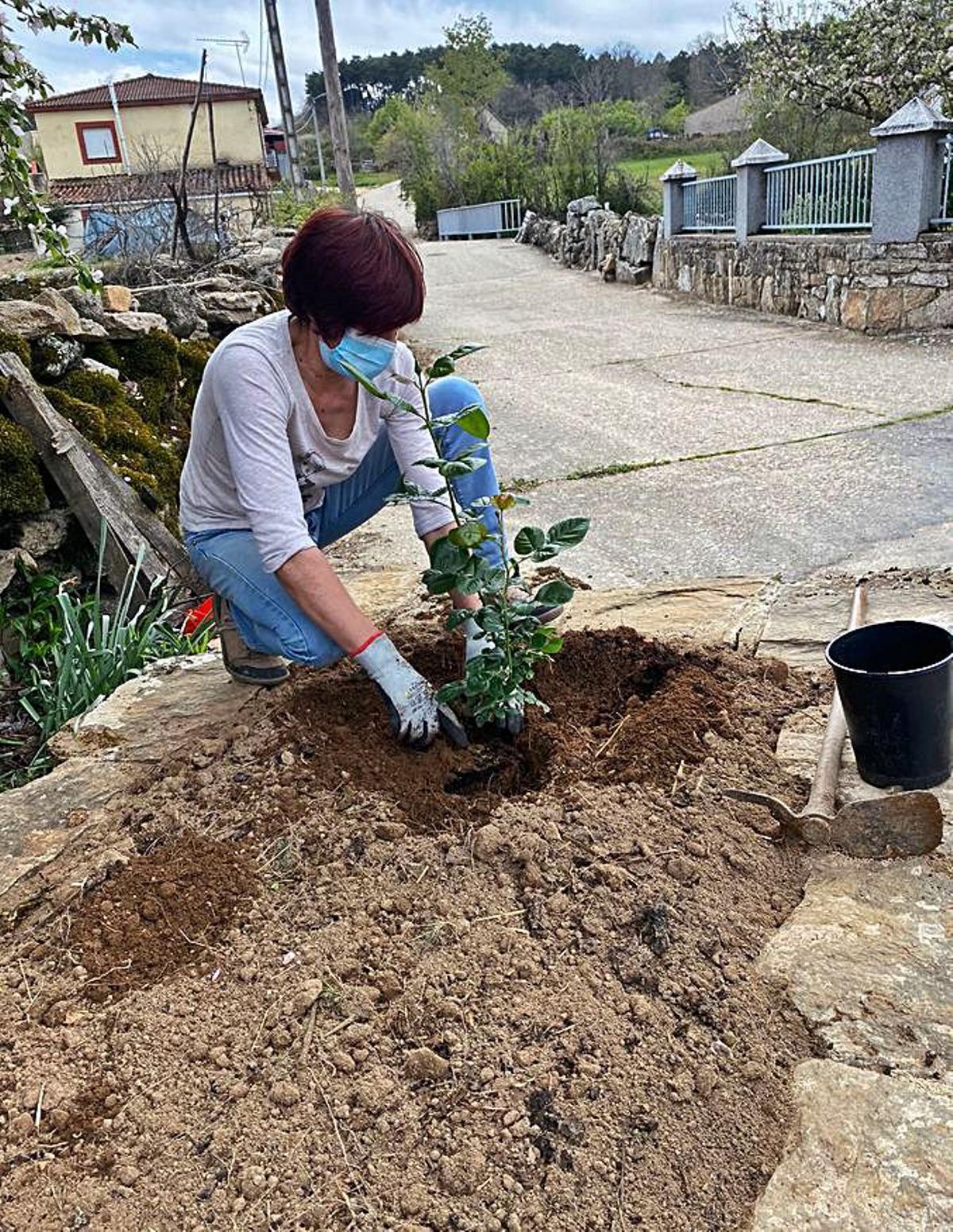 Una mujer preparando una planta. | Ch. S.
