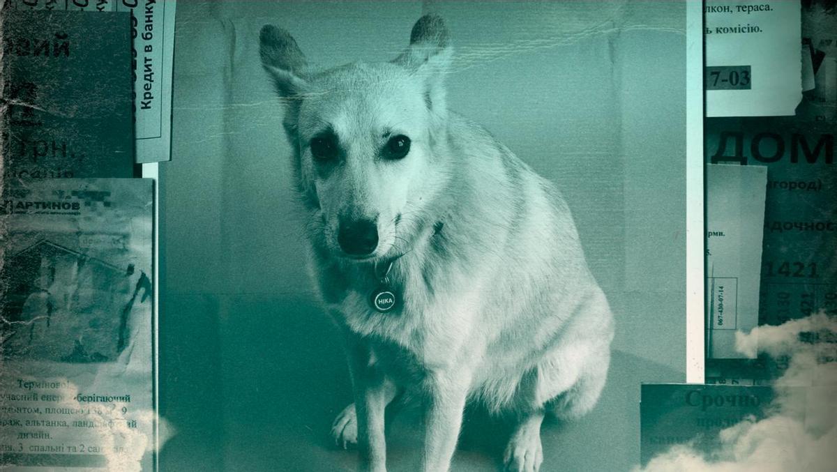 Captura de pantalla 2026 02 24 191503