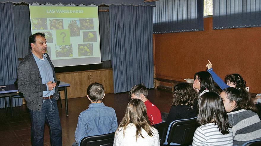 Los alumnos de la Pola aprenden a cuidar los manzanos