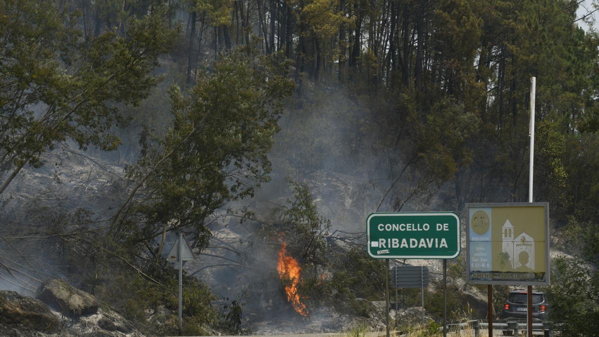 Incendio este miércoles en Ribadavia (Ourense).