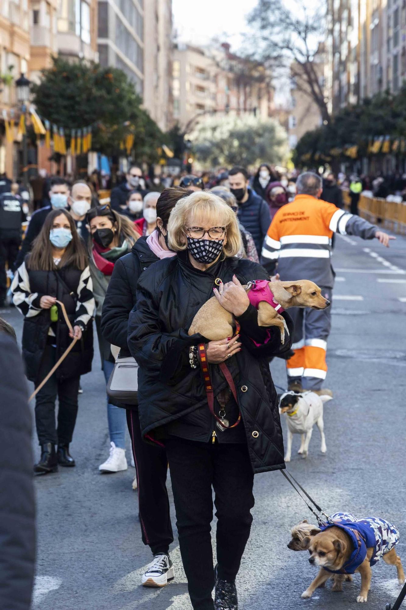 Búscate en la bendición de animales de Sant Antoni