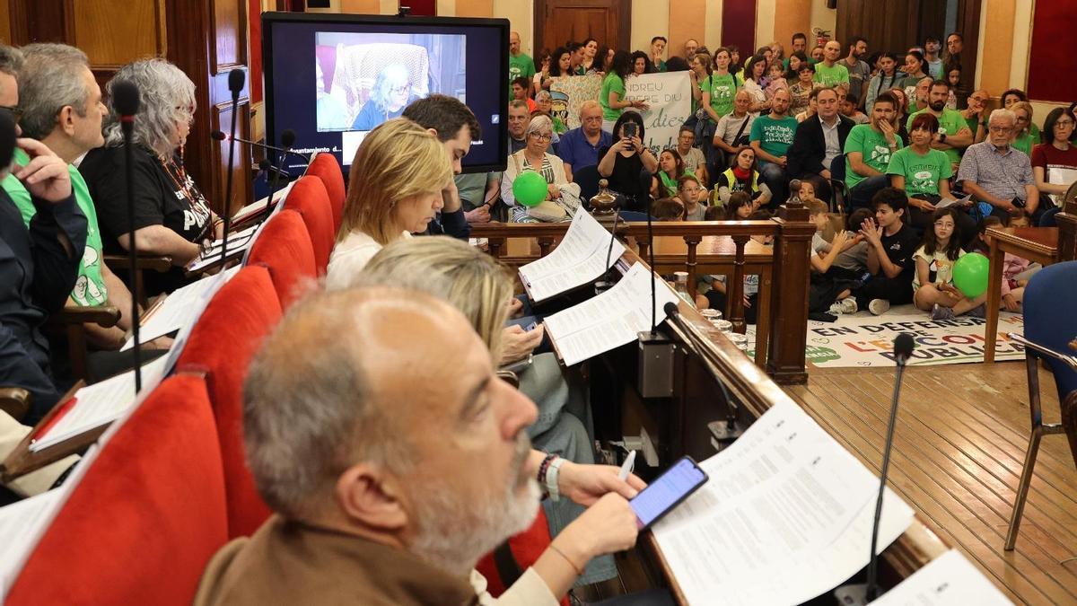 Comunidad educativa y ediles en el Salón de Plenos en el Ayuntamiento de Alcoy.