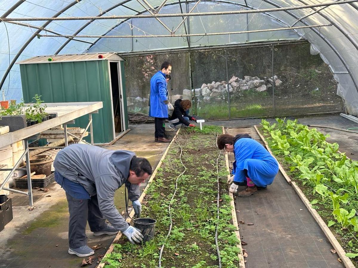 Huerto del Don Orione.