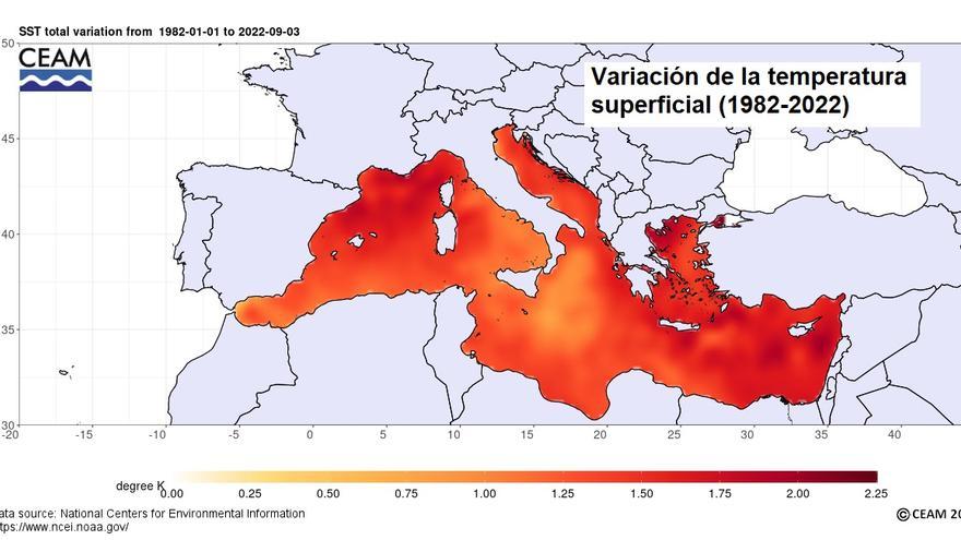 Variación de la temperatura superficial entre 1982 y 2022