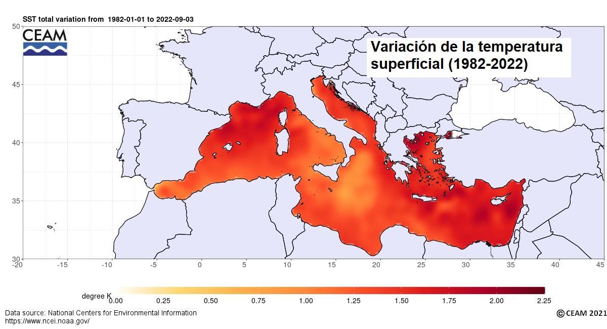 Variación de la temperatura superficial entre 1982 y 2022