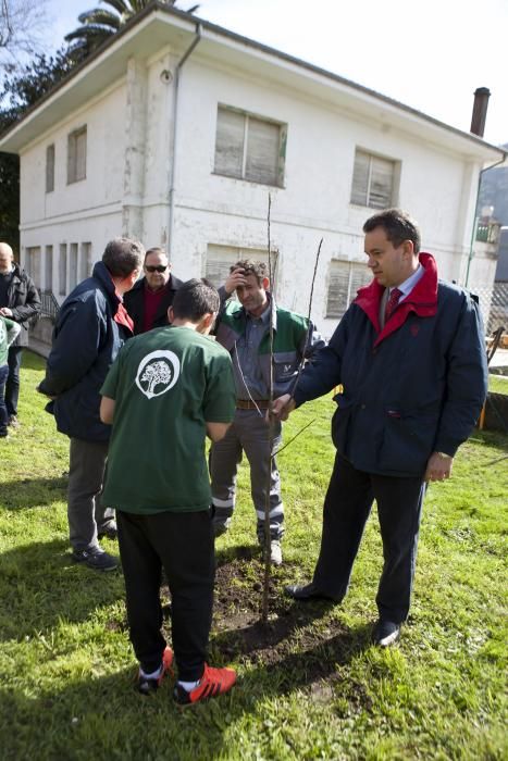 Los alumnos del colegio de Tudela Veguín y el alcalde de Oviedo, Wenceslao López, participan en la plantación de árboles de la fábrica de cemento