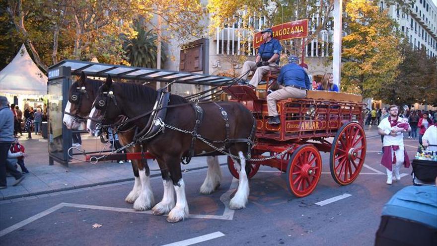 una narria con mucha marcha